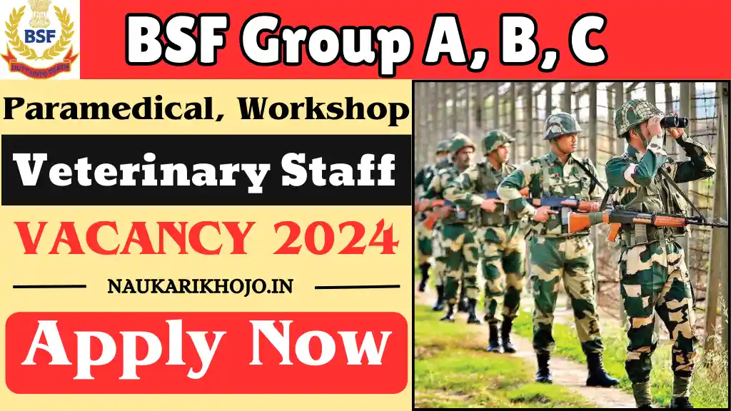 BSF Group A, B, C Vacancy 2024