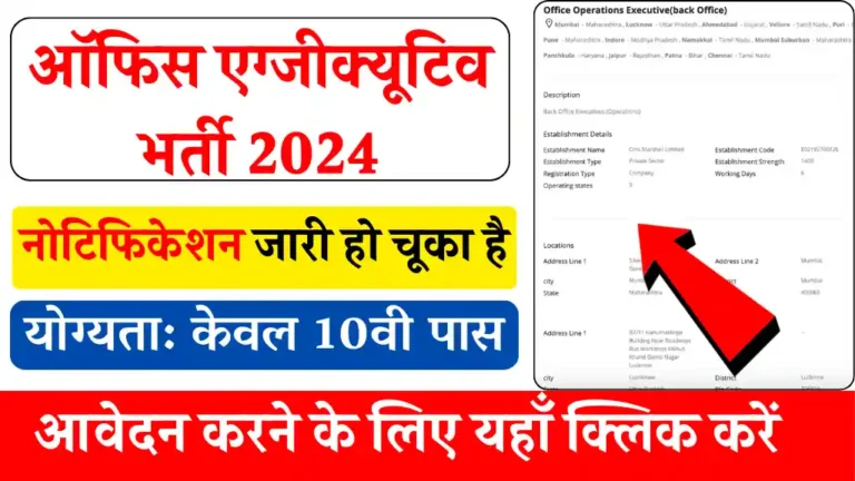 Office Executive Vacancy 2024