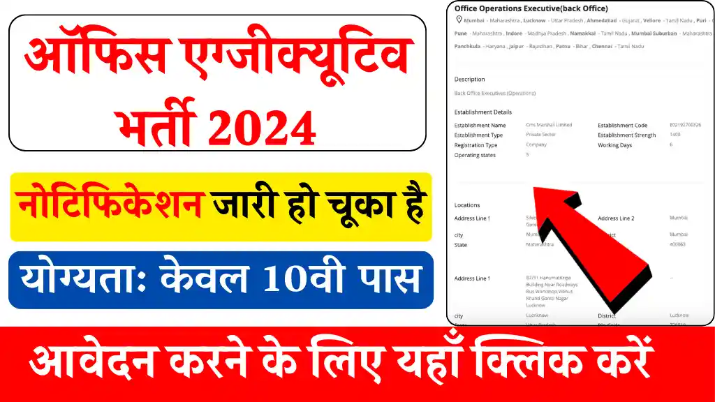 Office Executive Vacancy 2024