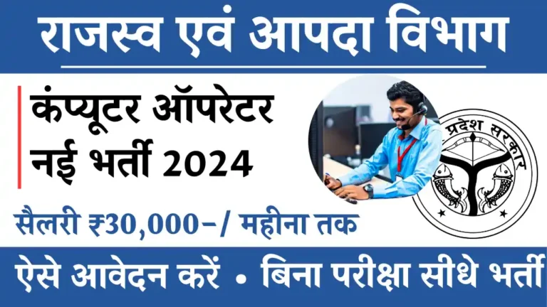 Revenue and Disaster Department Vacancy 2024