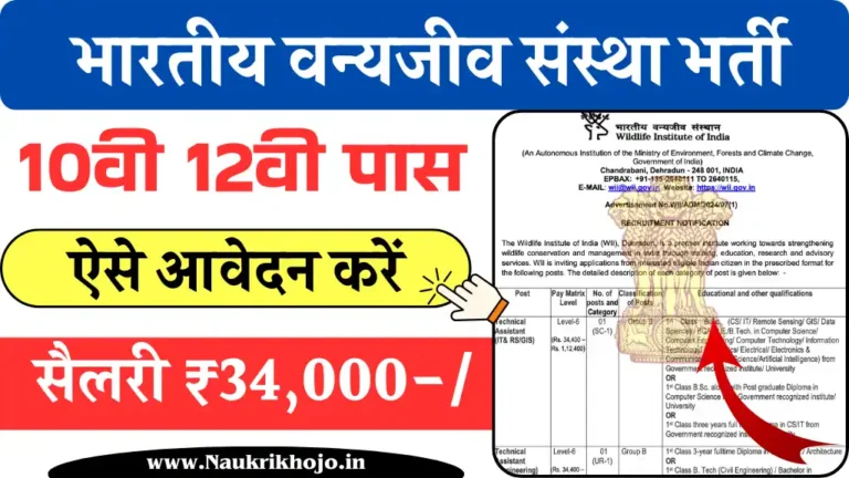 Wildlife Institute Vacancy